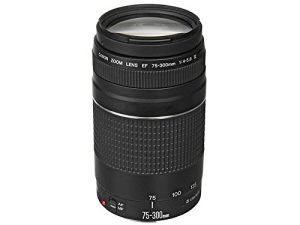 كانون EF 75-300mm f / 4-5.6 III عدسة تكبير Telephoto لكاميرات كانون SLR